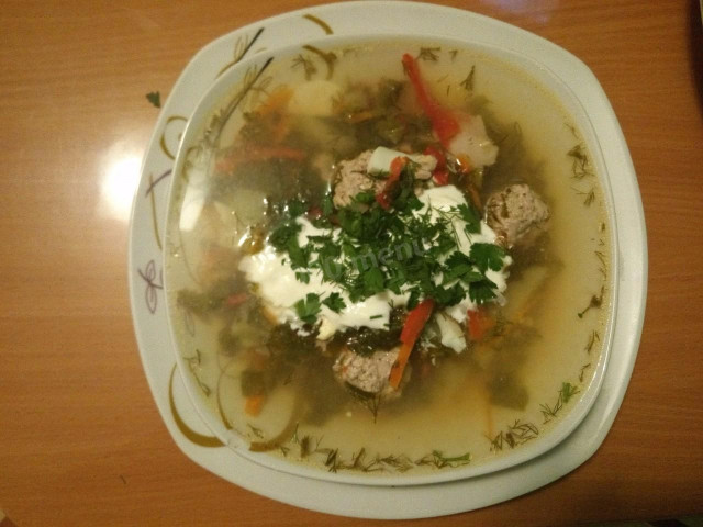 Green soup with sorrel and turkey