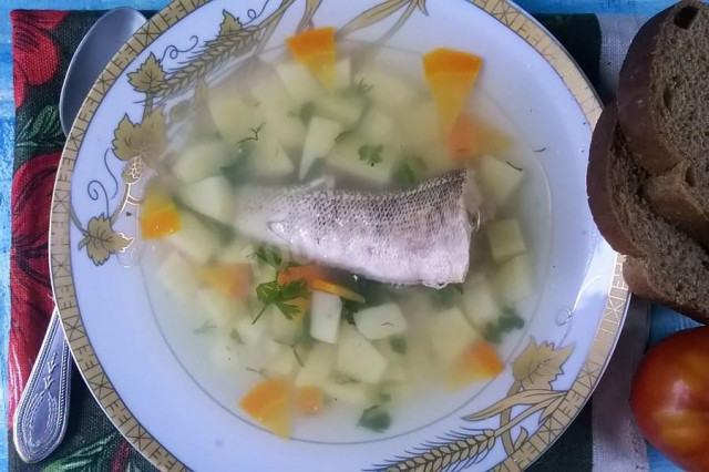 Nototenia soup