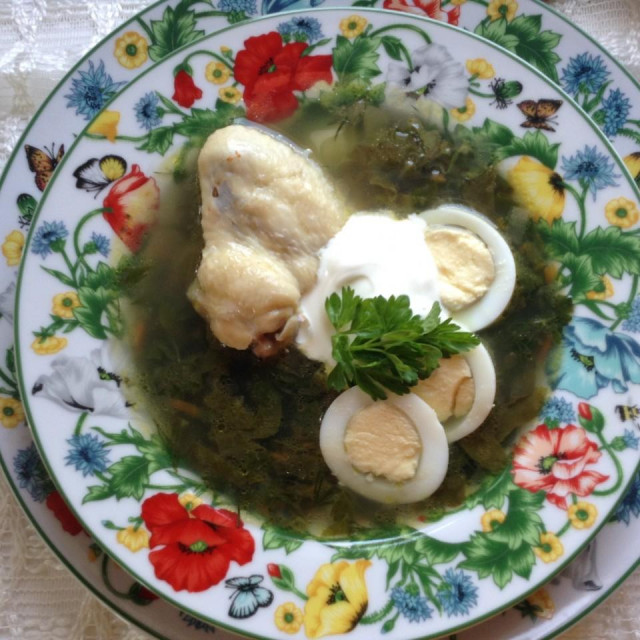 Green cabbage soup with nettles in chicken broth