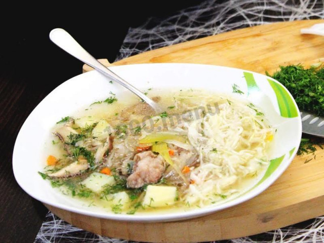 sauerkraut soup in a slow cooker