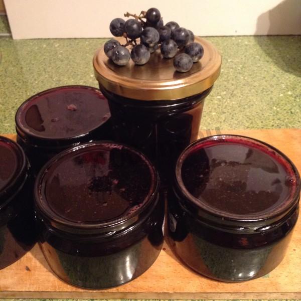 Wild grape jelly jam