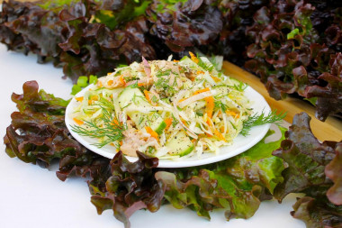 Salad of young cabbage and cod liver