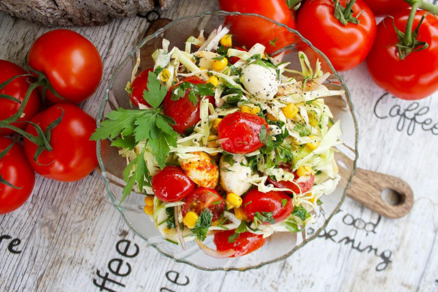 Sauerkraut salad with mozzarella and cherry tomatoes