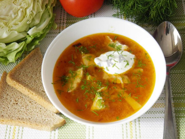 Cabbage soup from young cabbage with chicken