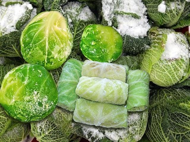Frozen cabbage for winter