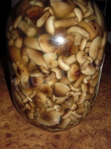 Quick pickled mushrooms