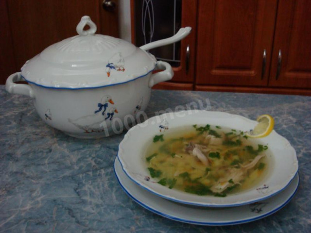 Moldovan Zama soup with chicken and homemade noodles