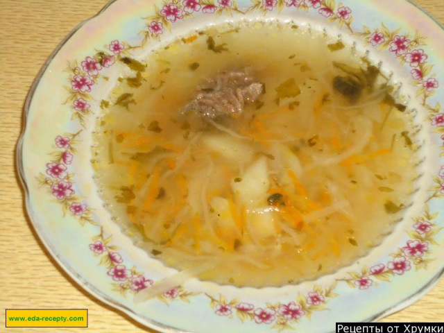 Sour cabbage soup with beef