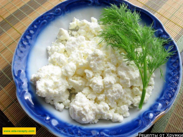 Delicious homemade cottage cheese made from milk and sour cream