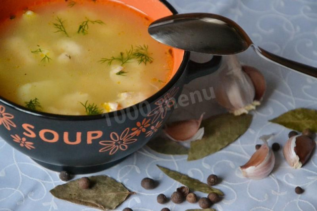 Turkey soup with potatoes