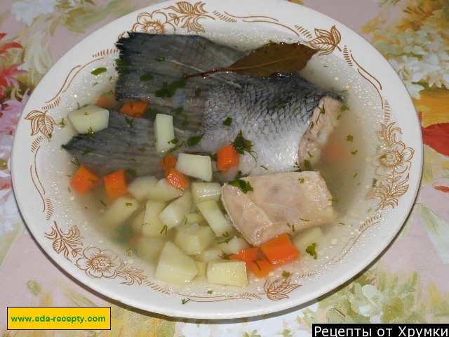 Salmon soup in Russian