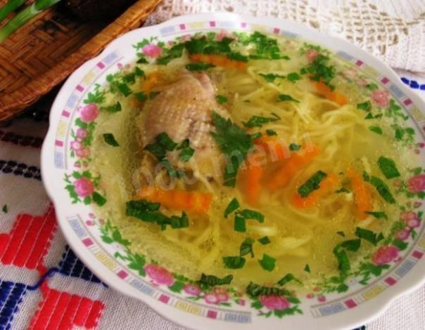 Moldovan zama soup with chicken and vegetables