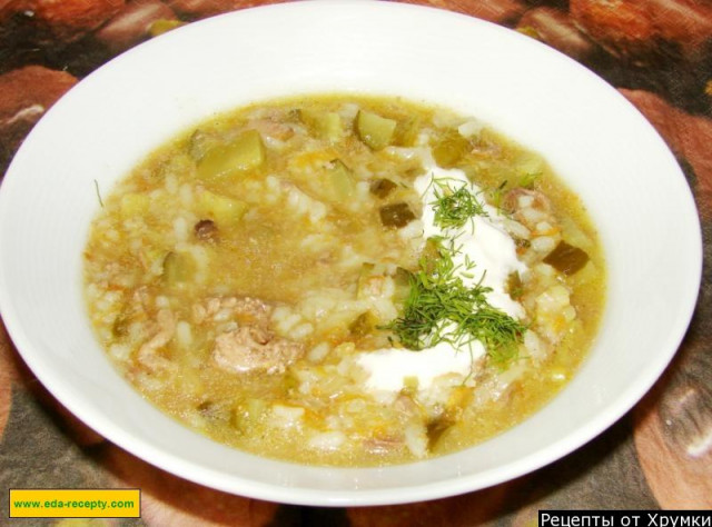 Pickle soup with rice, pickles and chicken