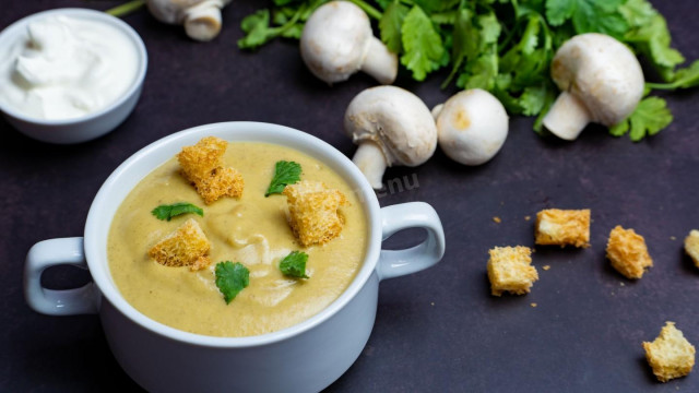 Vegetable cream soup with mushrooms and cream