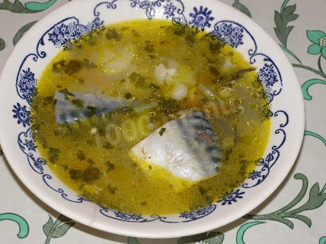 Fresh mackerel soup in a pot