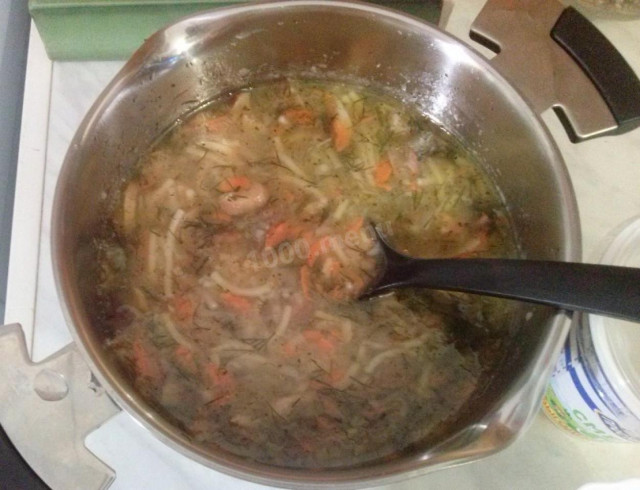 Aspen noodle soup