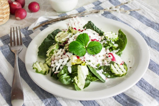 Radish and cucumber salad with strawberry leaves