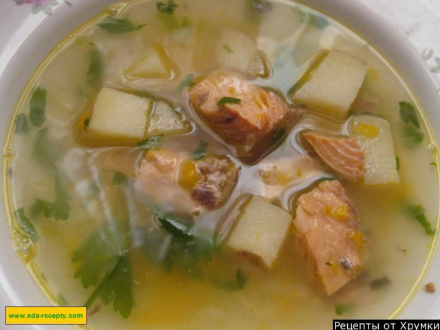 Simple soup of canned pink salmon or salmon with vegetables