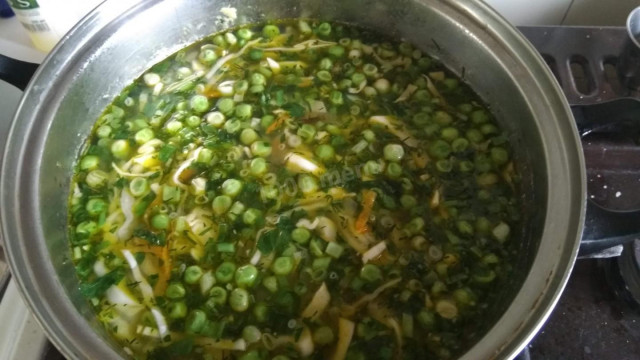 Green soup with vegetables in meat broth