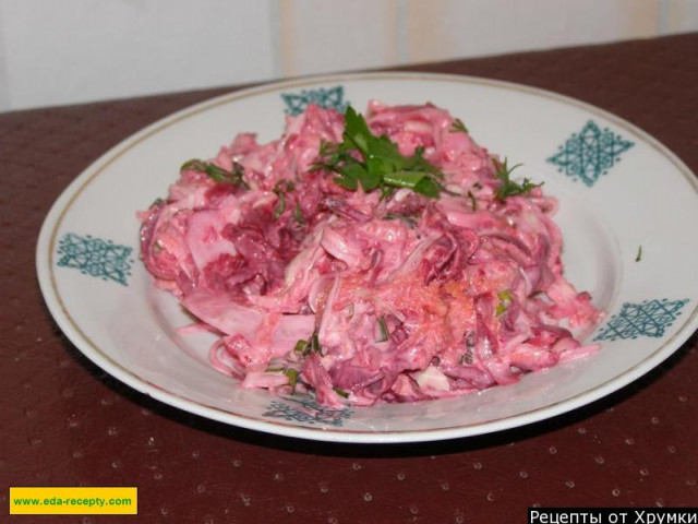 Vegetarian cabbage, beetroot, onion and carrot salad