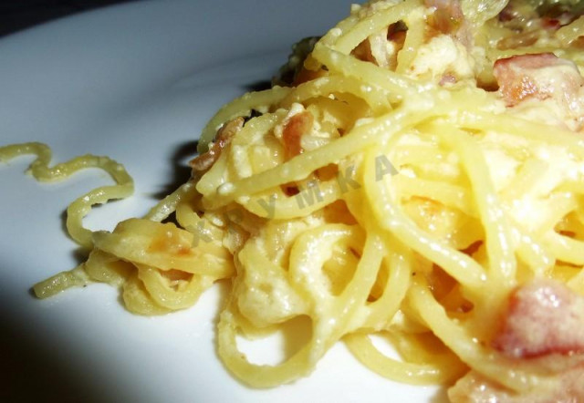 Spaghetti carbonara with onion, bacon, cheese and cream