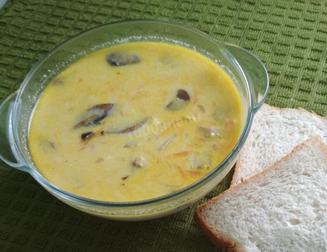 Soup with turkey mushrooms and melted cheese
