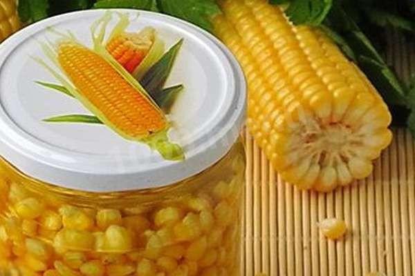 Bonduel sugar corn for winter