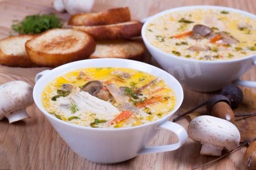 Mushroom soup with cheese and chicken