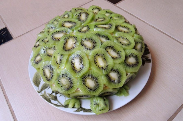 Turtle fruit cake with kiwi