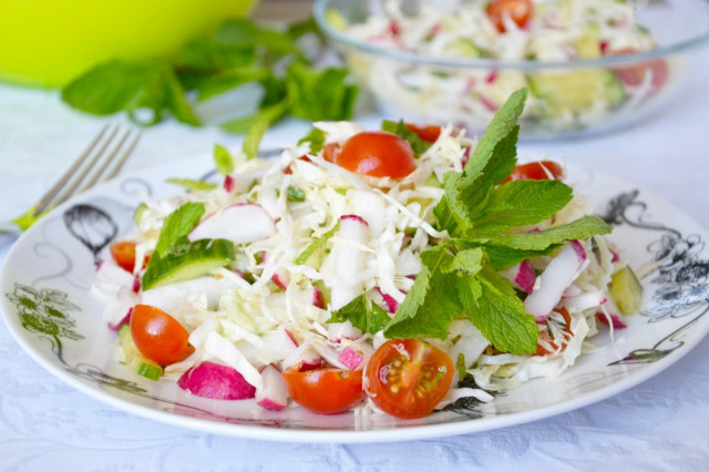 Cabbage salad with radishes and mint