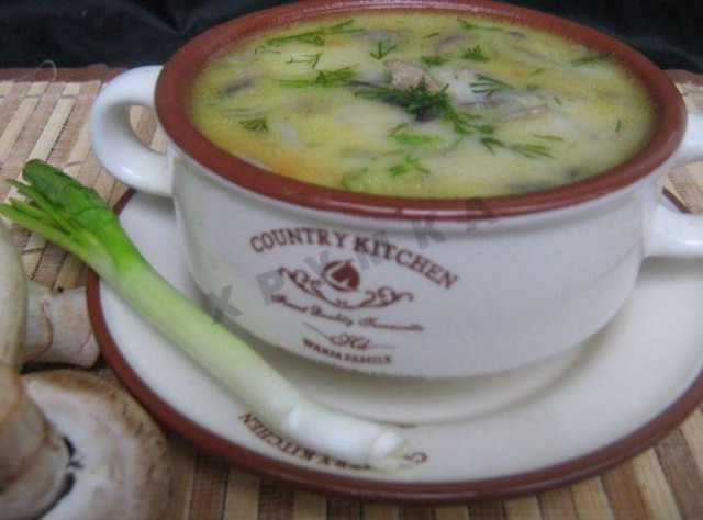 Soup with mushrooms and minced cheese