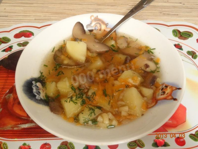 Wild mushroom soup with noodles and potatoes