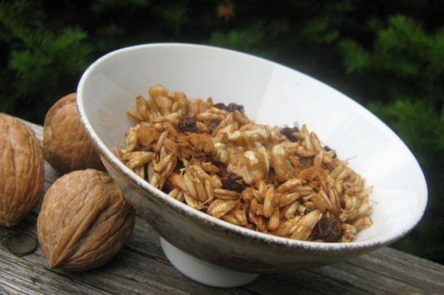 Sprouted oats with walnuts and currants