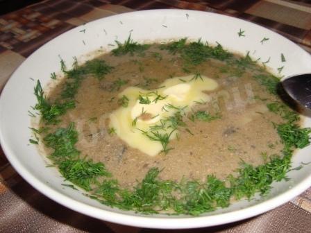 Cream soup of chicken liver and mushrooms with potatoes