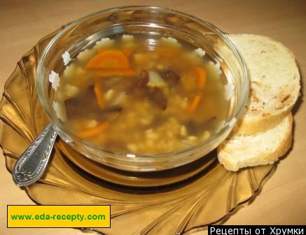 Mushroom soup of dried mushrooms with carrots and pearl barley