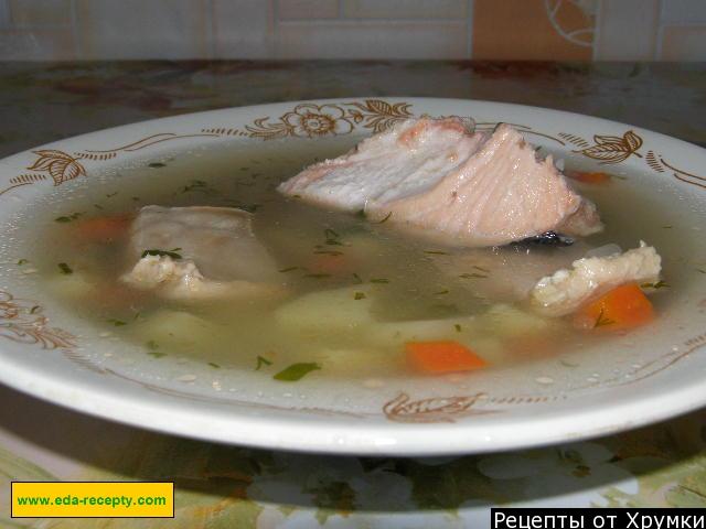 fish soup without cereals