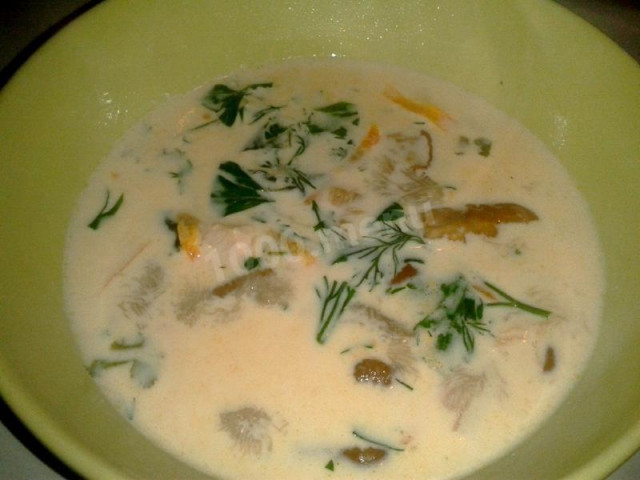 Chicken soup with porcini mushrooms