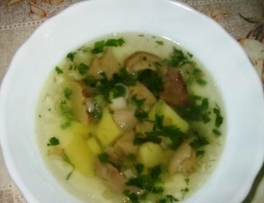 Fresh porcini mushroom soup with potatoes and green onions