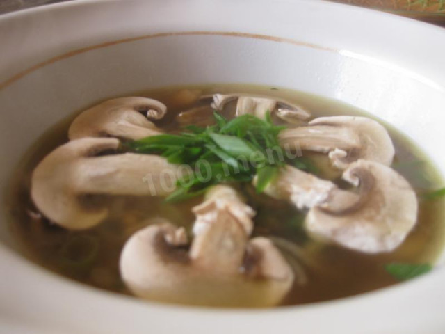 Mushroom soup with chicken and shallots of champignons