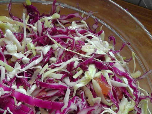 Assorted red cabbage Bulgarian Salad