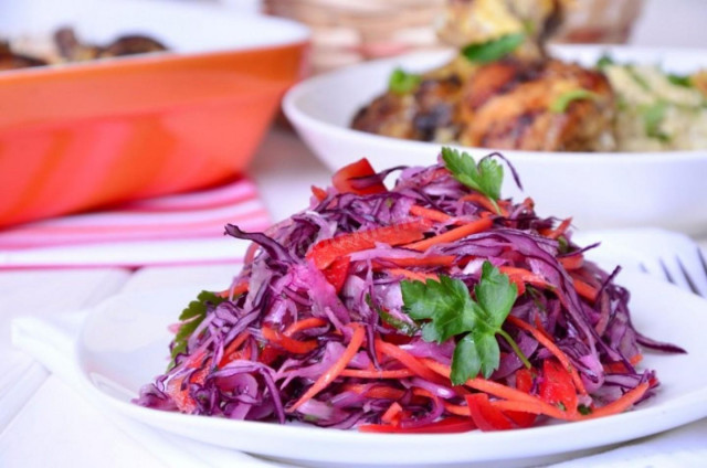 Vitamin salad of red cabbage and white cabbage