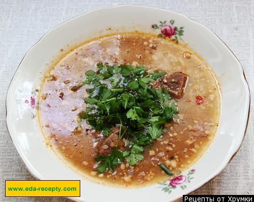 Rice and beef kharcho with walnuts and tkemali