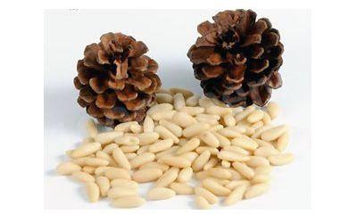 Cedar nut tincture