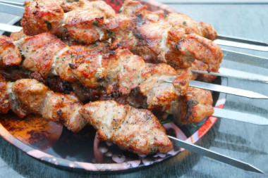 Pork kebab with onions